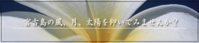 �t�����W�p�j